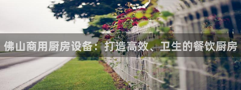 ZL尊龙凯时平台：佛山商