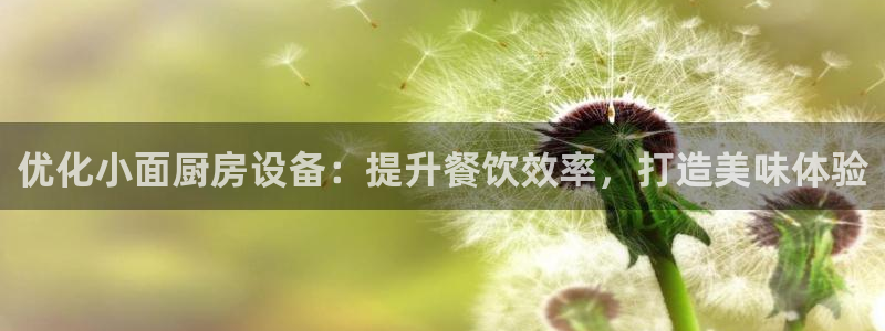 尊龙人生就要博旧版：优化